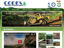 Tablet Screenshot of codesa.com.pa